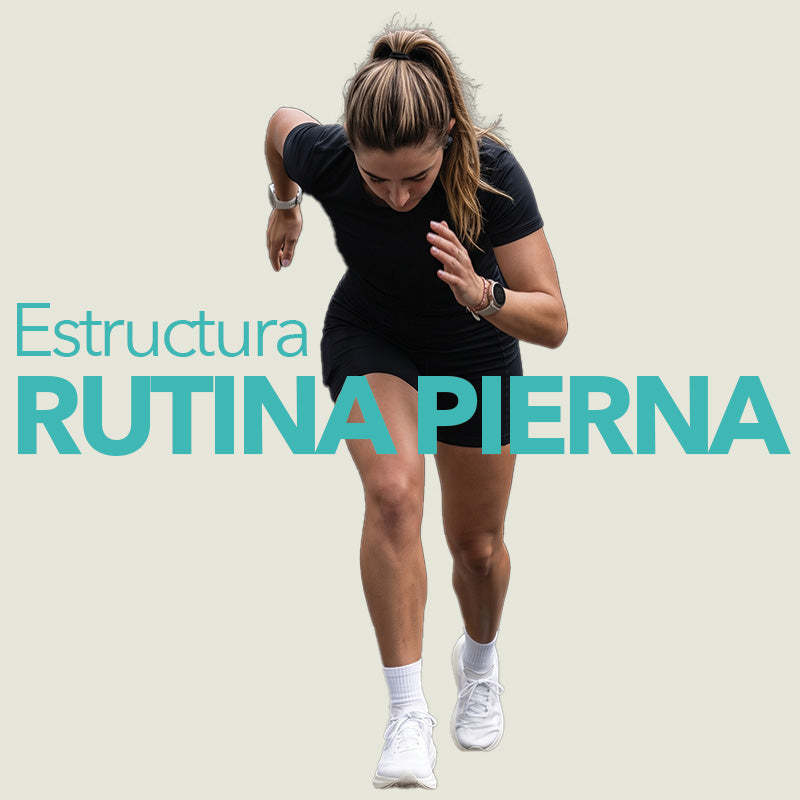 Estructura Gimnasio