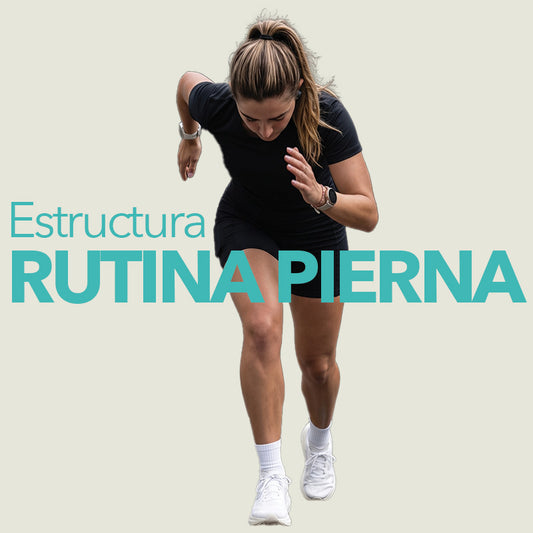 Estructura Gimnasio
